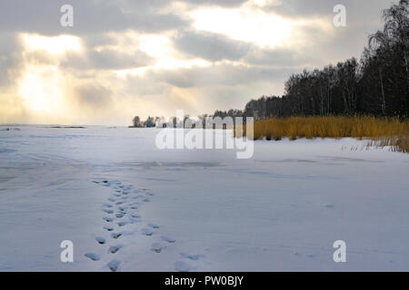 Coucher de soleil sur le lac gelé ou rivière, forêt. Traces, traces de l'empreinte sur la neige Banque D'Images