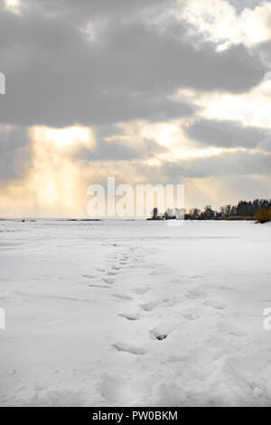 Coucher de soleil sur le lac gelé ou rivière, forêt. Traces, traces de l'empreinte sur la neige Banque D'Images