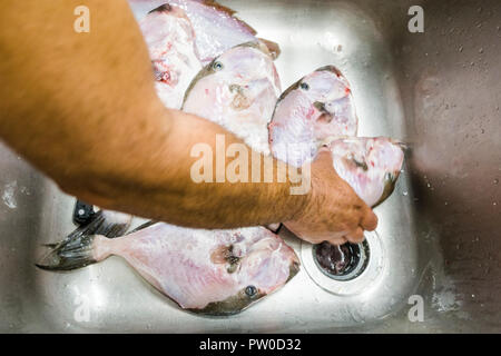 Poisson frais de nettoyage par l'eau courante dans les grandes lavabo dans le restaurant Banque D'Images
