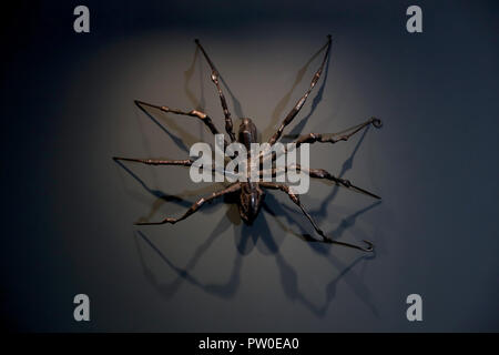 Le travail d'Elisabeth Frink sur l'affichage à l'Elisabeth Frink les humains et les autres animaux d'aperçu d'exposition au Sainsbury Centre for Visual Arts de Norwich, Norfolk. ASSOCIATION DE PRESSE Photo. Photo date : Jeudi 11 octobre 2018. L'exposition offrira de nouvelles perspectives et examiner ses débuts et bohème radical dans les années 1950, Londres, de réévaluer l'un des plus importants sculpteurs britanniques du xxe siècle. Crédit photo doit se lire : Chris Radburn/PA Wire Banque D'Images