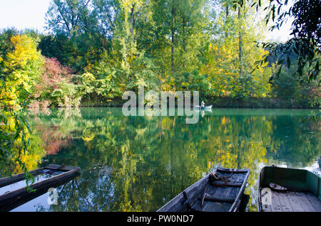 L'île 'Ile de Gerstheim' dans les milieux humides de la rivière du Rhin en Alsace Banque D'Images