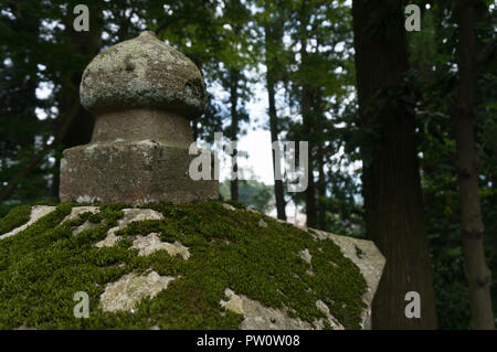 Ancien pilier en béton recouvert de mousse avec une forêt en arrière-plan pendant l'heure d'été au Japon Banque D'Images