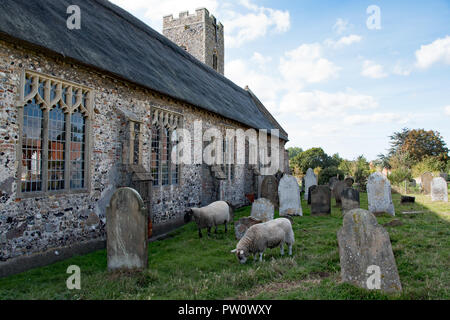 Lucy et Rodney le mouton, dans le cimetière à Pakefield Église, Suffolk, UK.