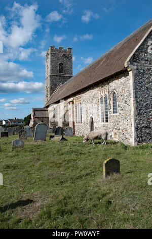 Lucy et Rodney le mouton, dans le cimetière à Pakefield Église, Suffolk, UK.
