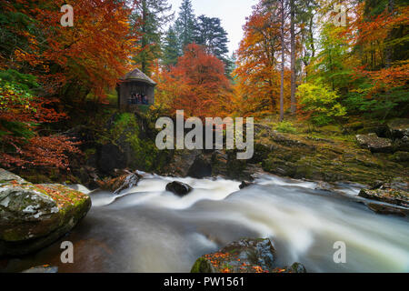 Vue d'automne de la salle d'Ossian surplombant la cascade de Black Linn Falls sur le fleuve Braan à l'Hermitage, Perthshire, Écosse, Royaume-Uni Banque D'Images