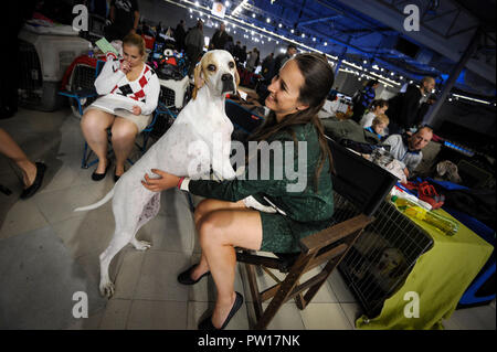 (181011) -- NADARZYN (Pologne), 11 octobre 2018 (Xinhua) -- un chien et son propriétaire sont vus au cours de l'Euro Dog Show 2018 à Nadarzyn près de Varsovie, Pologne, le 11 octobre 2018. Plus de 4 000 chiens de 55 pays ont pris part à l'Euro Dog Show 2018.(Xinhua/Jaap Arriens) Banque D'Images