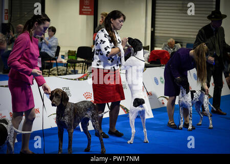 (181011) -- NADARZYN (Pologne), 11 octobre 2018 (Xinhua) -- les chiens et leurs propriétaires sont vus au cours de l'Euro Dog Show 2018 à Nadarzyn près de Varsovie, Pologne, le 11 octobre 2018. Plus de 4 000 chiens de 55 pays ont pris part à l'Euro Dog Show 2018.(Xinhua/Jaap Arriens) Banque D'Images