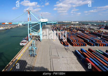 Beijing, Chine. 18 Sep, 2018. Photo prise le 18 septembre 2018 montre un terminal exploité par COSCO Voyage au port de Zeebrugge en Belgique. Credit : Ye Pingfan/Xinhua/Alamy Live News Banque D'Images