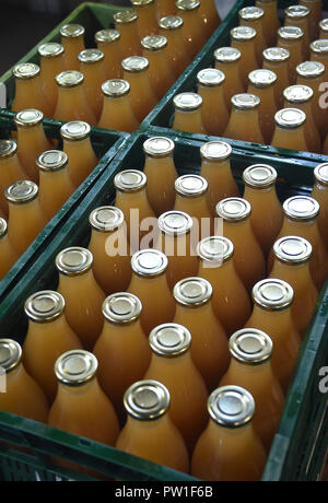 Le Werder, Brandebourg. 10 Oct, 2018. Jus de pomme fraîchement pressé dans des caisses à l'Thierschmann presse fruits. Pas plus les clients peuvent être admis à présenter sans rendez-vous. Les employés de l'Lohnmosterei à Werder travaillent jusqu'à 16 heures en appuyant sur les fruits. Crédit : Bernd Settnik/dpa-Zentralbild/dpa/Alamy Live News Banque D'Images