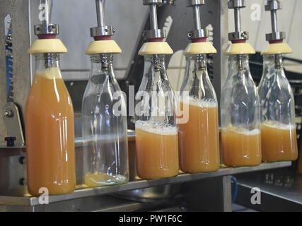 Le Werder, Brandebourg. 10 Oct, 2018. Jus de pomme fraîchement pressé d'être mis en bouteilles dans le Thierschmann presse fruits. Pas plus les clients peuvent être admis à présenter sans rendez-vous. Les employés de l'Lohnmosterei à Werder travaillent jusqu'à 16 heures en appuyant sur les fruits. Crédit : Bernd Settnik/dpa-Zentralbild/dpa/Alamy Live News Banque D'Images