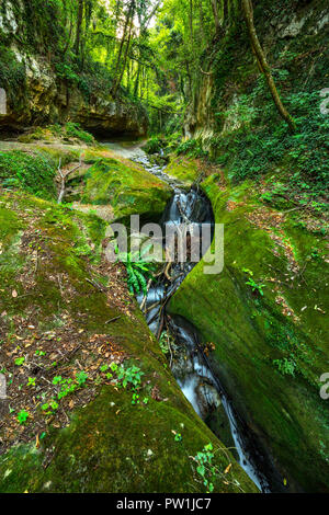 Petite cascade entre les rochers recouverts de mousse. Abruzzes, Italie, Europe Banque D'Images