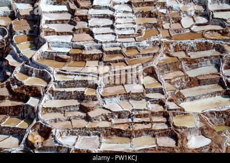 Les étangs des Salineras de Maras, Vallée Sacrée des Incas, Cuzco, Pérou région Banque D'Images