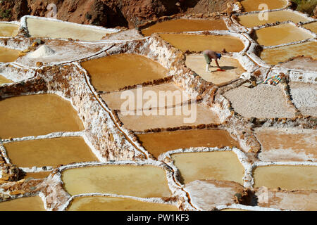 Salineras de Maras, d'incroyables Mines de sel dans le canyon de la Vallée Sacrée des Incas, Cuzco, Pérou région Banque D'Images