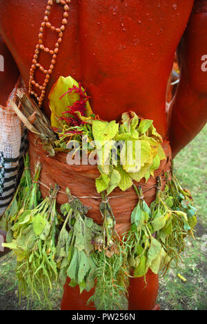 Habillés de couleurs vives et le visage peint l'homme dans le cadre d'un chanter chanter à Madang, Papouasie Nouvelle Guinée. Banque D'Images
