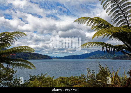 Voir dans le Marlborough Sounds, à partir de la Queen Charlotte Track, Nouvelle-Zélande Banque D'Images