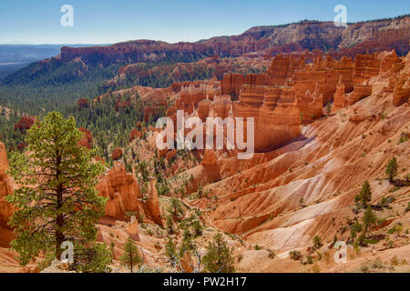 Le Parc National de Bryce Canyon dans l'Utah Banque D'Images