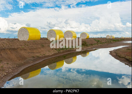 Balles rondes de coton enveloppées de plastique jaune empilées à côté d'un canal d'irrigation sur une ferme de coton à Moree, Queensland, Australie. Banque D'Images