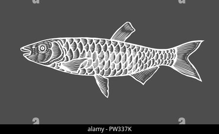 À l'encre de poissons. Hand drawn vector illustration sur fond noir. Style rétro. Illustration de Vecteur