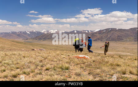 Les bergers kirghizes avec yak emballés pour l'expédition de Keng Shiber à Kara Jilga, Pamir, Tadjikistan, du Haut-Badakchan. Banque D'Images