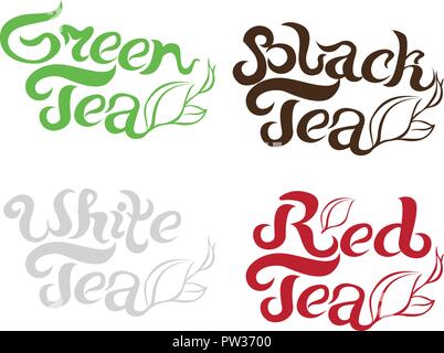 Thé noir, thé vert, thé blanc, thé rouge, belle écriture lettrage pour les cartes postales, affiches, bannières de souvenirs, l'emballage, des textiles et d'autres choses. vector illustration sur fond blanc. Illustration de Vecteur