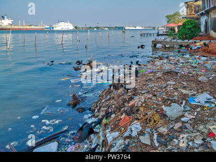 COCHIN KOCHI INDE LE PORT ET LITTORAL COUVERT DANS UNE VARIÉTÉ DE DÉCHETS ET MATIÈRES PLASTIQUES MANGÉES PAR LES CORBEAUX Banque D'Images