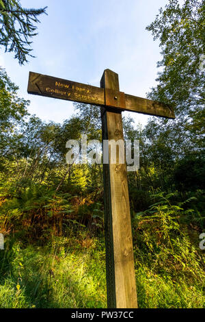 Doigt en bois pour les nouveaux postes et la vue de la piste cyclable à côté de l'ancien chemin de fer. Forêt de Dean, Gloucestershire. Banque D'Images