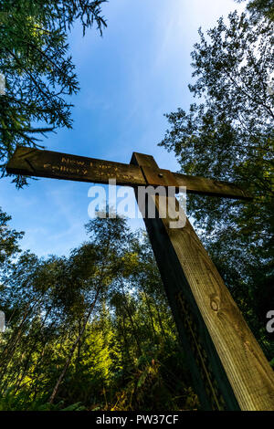 Doigt en bois pour les nouveaux postes et la vue de la piste cyclable à côté de l'ancien chemin de fer. Forêt de Dean, Gloucestershire. Banque D'Images