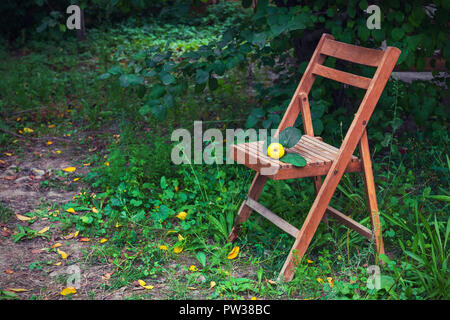 Chaise pliante en bois de jardin dans le pays Banque D'Images