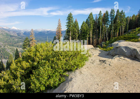 Vues de la vallée Yosemite à partir de la zone d'observation Point Washburn. Un site du patrimoine mondial depuis 1984 Banque D'Images