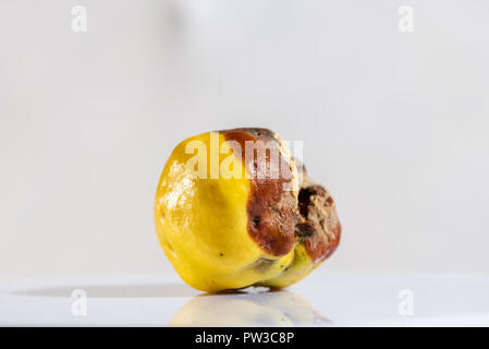 Couleur des fruits gâtés isolés au fond blanc Banque D'Images