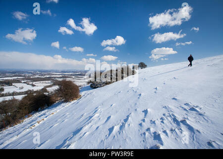 Neige sur South Downs avec promeneur de chien, près de Ditchling Beacon, South Downs National Park, East Sussex, Angleterre, Royaume-Uni. Banque D'Images