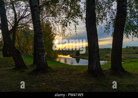 Par le soleil doré feuilles d'un bouleau arbres sur les rives d'une rivière paisible entourée par la forêt dans un paysage pittoresque Banque D'Images