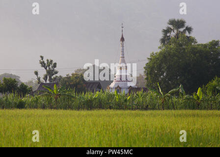 Belle stupa birman buddist sur le champ de riz à Hpa-An, Myanmar Banque D'Images