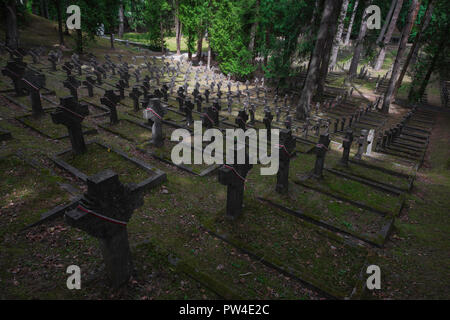 Vilnius cimetière, vue sur colline dans le cimetière Antakalnis contenant les tombes de centaines de soldats polonais qui sont morts entre 1919-1920, la Lituanie. Banque D'Images