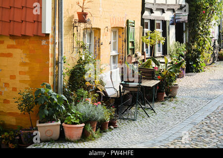 Fleurs en face d'une maison dans la vieille ville de Quedlinburg Banque D'Images