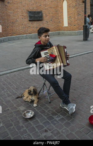 Jeune musicien de rue joue un accordéon dans la vieille ville de Varsovie, une zone touristique principale dans l'évolution de cette ville. Banque D'Images