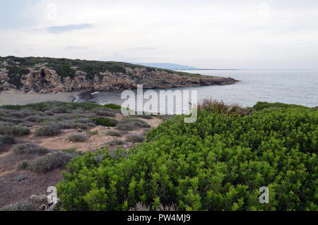 Réserve naturelle de Vendicari, Calamosche, Sicile Italie Banque D'Images