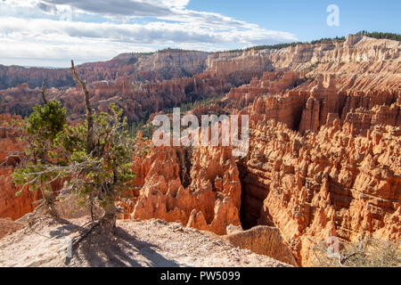 Bryce Canyon dans l'Utah Banque D'Images