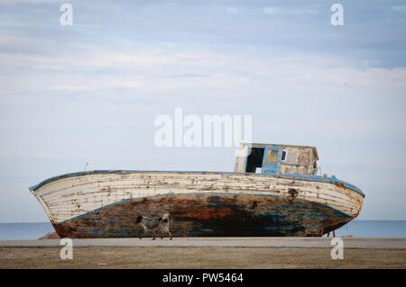 Chien devant de vieux bateaux de pêche abandonnés rouillé sur la rive avec ciel et mer en fond sonore au début de matinée, copy space Banque D'Images