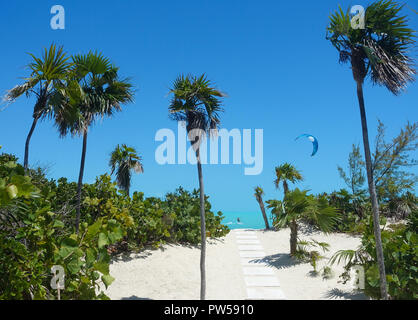 Un kiteboarder surfe par un chemin de pierre blanche avec des lignes de palmiers menant à la mer des Caraïbes à Long Bay Beach, Providenciales, Îles Turques et Caïques Banque D'Images