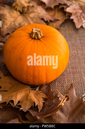 Automne feuilles sèches avec orange citrouille sur surface sac Banque D'Images