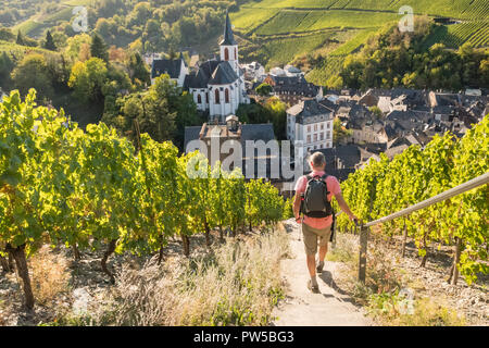 Homme marchant à travers le vignoble de Traben Trarbach dans la Moselle vallée de la Moselle, l'Allemagne, de l'Europe Banque D'Images