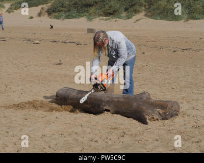 La collecte de bois de dérive de Burnham on sea beach en utilisant une scie à chaîne Banque D'Images