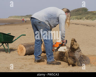 La collecte de l'homme dérive de Burnham on sea beach en utilisant une scie à chaîne Banque D'Images