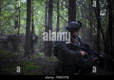 Marine Marine avec Force-Europe rotation détient une position de défense pendant l'exercice 17 dans Aurora, Suède, Lärbro, 20 septembre 2017. 17 Aurora est le plus grand exercice national suédois en plus de 20 ans, et il comprend le soutien de forces aux États-Unis et dans d'autres pays afin d'exercer la capacité de défense de la Suède et de promouvoir la sécurité régionale commune. Banque D'Images