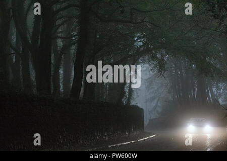 Une voiture avec des projecteurs au descendant d'un rural avec une voie spooky bois brumeux arquant les arbres sur la route Banque D'Images