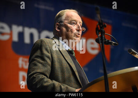 13 octobre 2018, le Brandebourg : Fédéral le Président Alexander Gauland s'exprimant lors de la conférence AfD partie du comité d'état dans le Brandebourg. Photo : Julian Stähle/dpa Banque D'Images