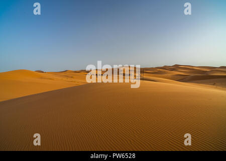 Président in desert Banque D'Images