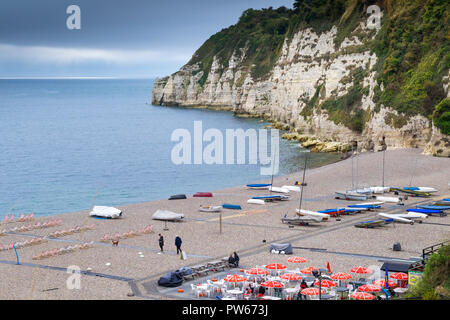 Plage de la bière dans le Devon. Banque D'Images