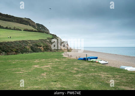 Branscombe Beach sur la côte jurassique du Dorset. Banque D'Images